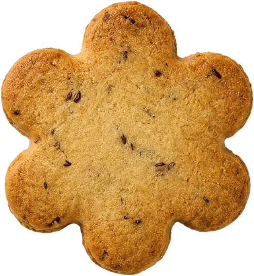 Anise Sable